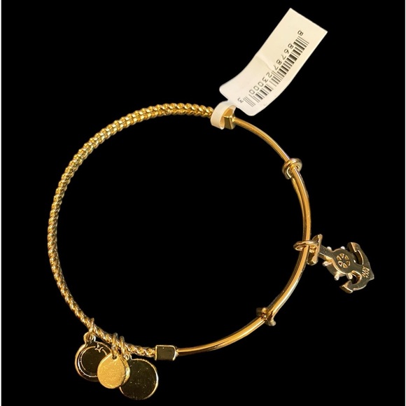 Alex and Ani Two-Tone Textured Anchor Charm Bangle - Picture 4 of 6